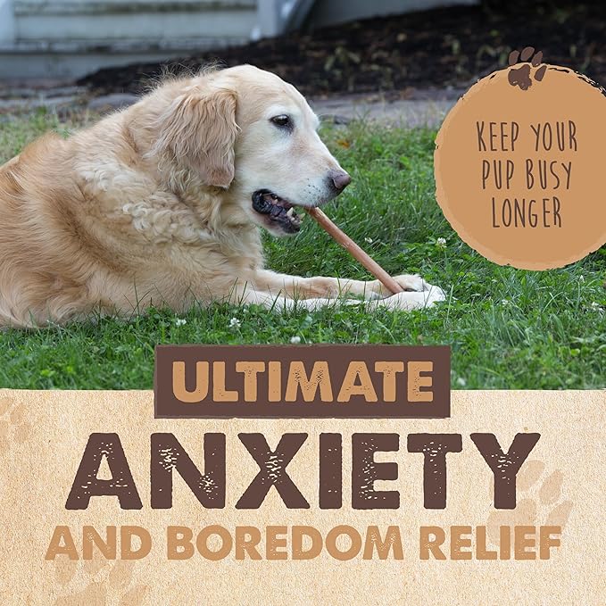 Mighty Paw Naturals Bully Sticks for Small & Medium Dogs - Grass Fed Beef Chews. Bully Sticks for Large Dogs. Lower Odor Stick Treat. Single Ingredient (6" - 10 Pack)