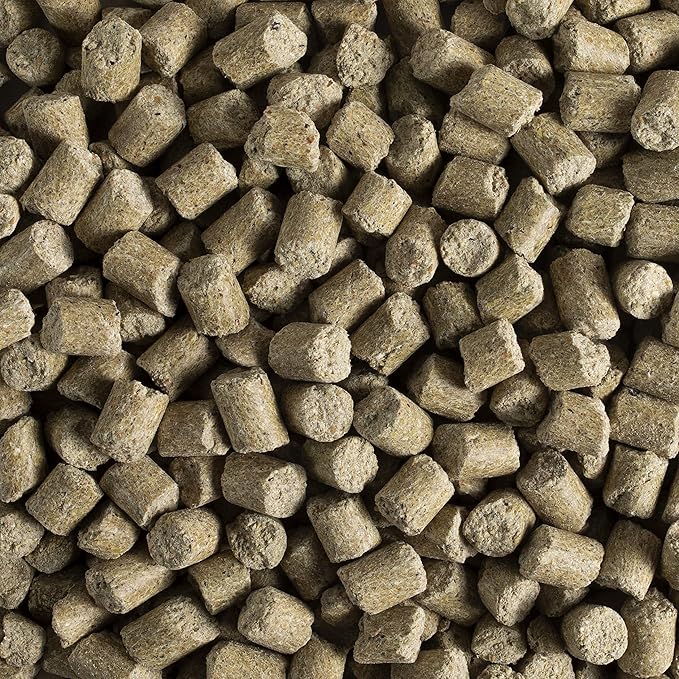 Kaytee Forti-Diet Pro Health Pet Mouse, Rat, and Hamster Food, 5 Pound