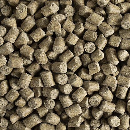 Kaytee Forti-Diet Pro Health Pet Mouse, Rat, and Hamster Food, 5 Pound