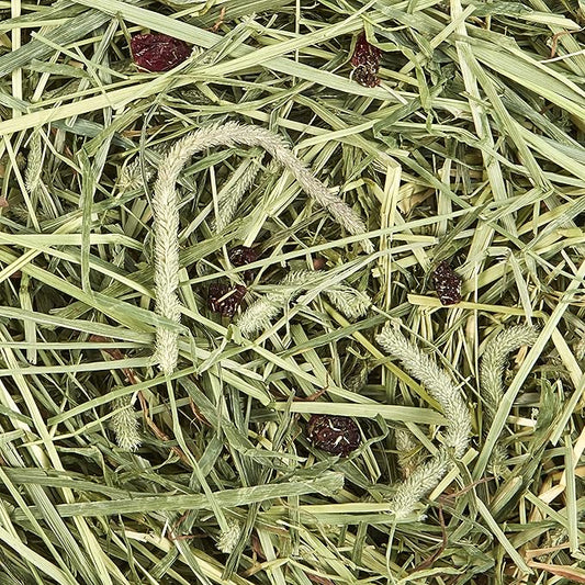 Kaytee All Natural Timothy Hay Plus Cranberries for Guinea Pigs, Rabbits & Other Small Animals, 24 Ounce (Pack of 2)