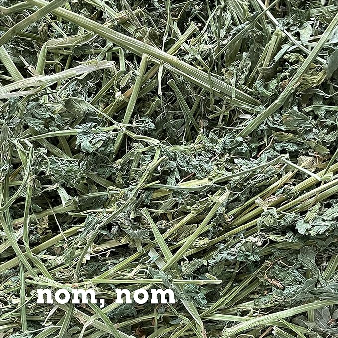 Bunny Honey Organic Alfalfa Hay for Young Rabbits, Guinea Pigs & Small Pets High - Protein & Calcium, Supports Growth & Dental Health, Fresh & Nutritious