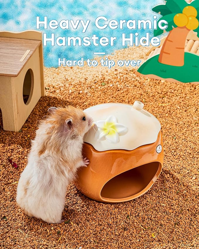 BUCATSTATE Hamster Hideout Ceramic, Coconut Shape Hamster House and Habitat for Dwarf Hamsters, Mice, Syrian Hamsters, Chipmunks or Other Small Pets (Brown-Large)