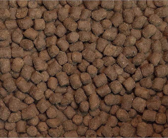 Wysong Ferret Epigen 90 Digestive Support - Dry Ferret Food - 5 Pound Bag(Pack of 1)