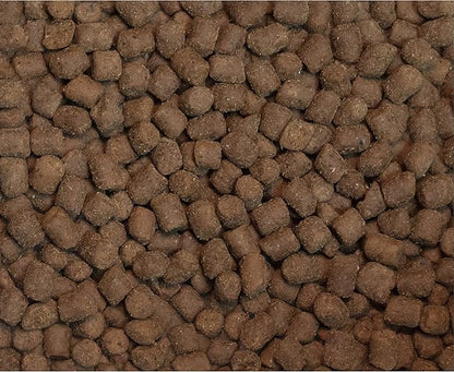 Wysong Ferret Epigen 90 Digestive Support - Dry Ferret Food - 5 Pound Bag(Pack of 1)