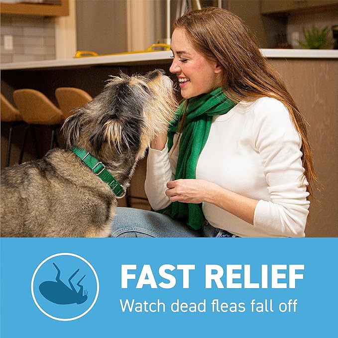 Capstar(nitenpyram) for Dogs Fast-Acting Oral Flea Treatment for Dogs 2-25 lbs, Vet-Recommended Medication Tablets Start Killing in 30 Minutes, 12 Doses